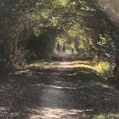 - Le Petit Bois Des Loups Couëron