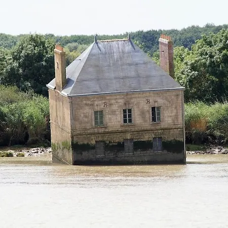 - Le Petit Bois Des Loups * Coueron